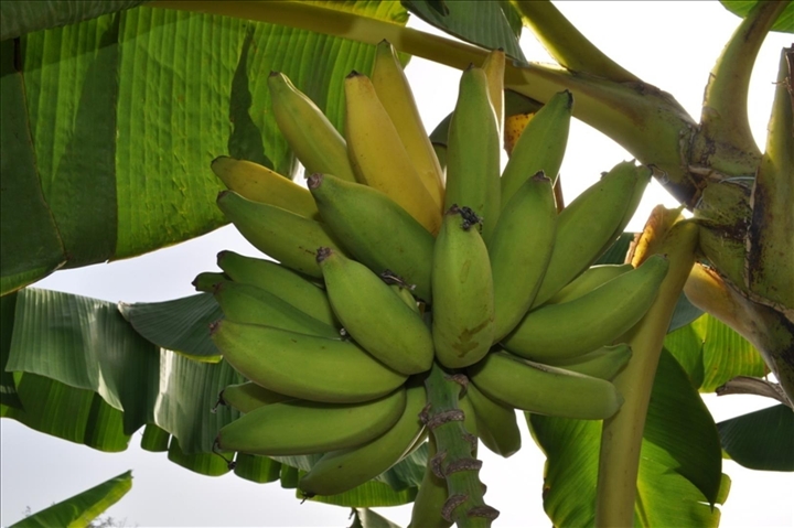 Lutte contre la vie chère : Début de la délivrance du 